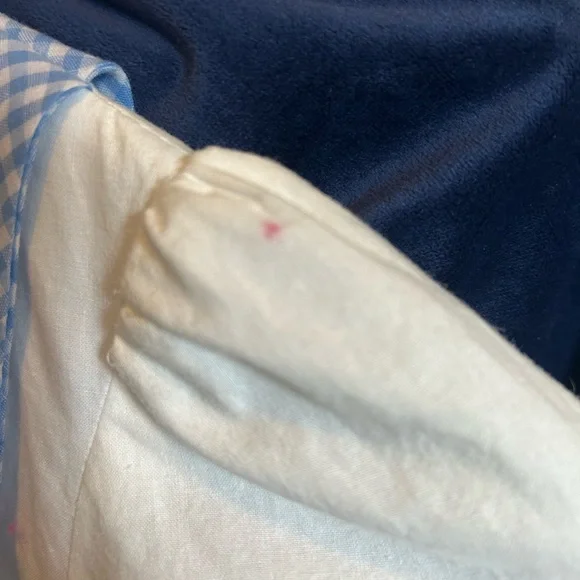 Dorothy Wizard of Oz Costume - Picture 4 of 5